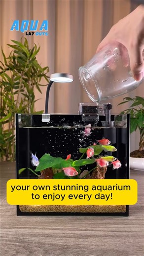 Aqua Layouts on Instagram: "Your Own Stunning Aquarium in Minutes #aqualayout #aquariumfish #viral #reels #fishtank #fishtanks #fishlover #aqualover #aquaX #foryou #viral #aquascape"