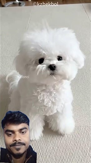 Hide key missing #shorts #viral #shortsfeed