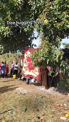 Huyu kijana asha pita record ya truphena and he is going on👌🏽💯 show some love.... #fyp #treehugger #kenyantiktok🇰🇪 #viral #roymigunda