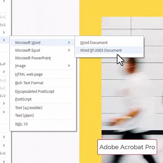 Converting PDF To Word Document using Adobe Acrobat Pro