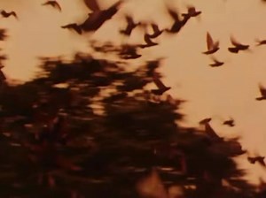 Monster Legacy #145: Crosspatch! ⚡️⚡️⚡️ Voiced By: Glen McDougal “Clash Of The Megazords” Crosspatch is a patch-themed monster sent down to Earth to stop the Turbo Rangers from luring the Space Base to Earth with the tractor beam and succeeds. He is later chosen to pilot the Turbo Megazord with four Chromite and fights the Rescue Megazord. After the Red Turbo Ranger tries to steal back the Phantom Ranger’s Power Ruby from the battery pack powering the Turbo Megazord, he attempts to stop him but 