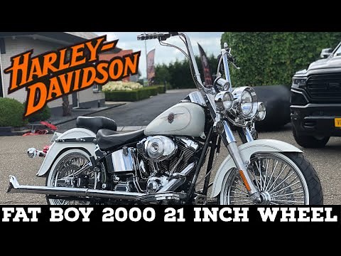 Fat Boy 21 Inch Fat Big Spoke Wheel 18 inch x 4 25 Rear Fat Spoke wheel Python Fishtails Harley