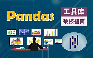 【双语字幕+资料下载】用 Pandas 进行数据处理与分析！真实数据&实时讲解，学完就能上手做数据分析了！