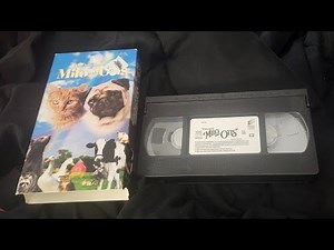 Opening to The Adventures Of Milo And Otis 1999 VHS (2005 Reprint)