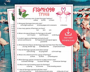 Flamingo Trivia Game, Printable Flamingo Game for Kids & Adults,flamingo Baby Shower Activity,office Party Fun,brunch Idea, Classroom Trivia - Etsy