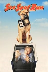 See Spot Run (2001) - AZ Movies