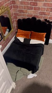 34K views · 10K reactions | Throwback to last year’s Christmas room decor while we wait for this year’s reveal!  #christmas #dog #decor #christmasdecor #christmasdog | Winston the Miniature Dood | Facebook