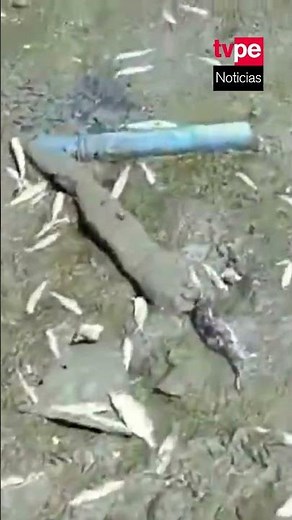 Fish wash ashore in Parachique, Sechura