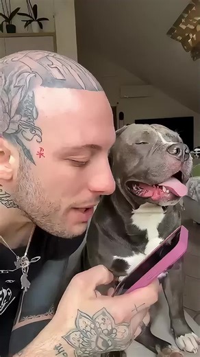 Track progress, set goals and train your dog smarter | dog