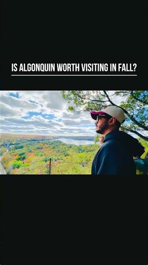 Is Algonquin worth visiting in fall? #shorts #algonquinpark #fallcolors #travelvlog
