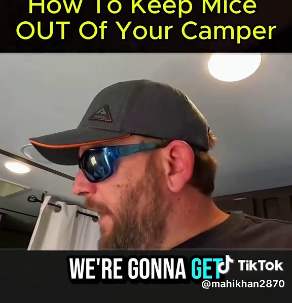 Effective Strategies to Keep Mice Out of Your Camper