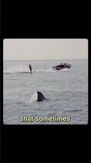 JAWS 2 the unsung sequel