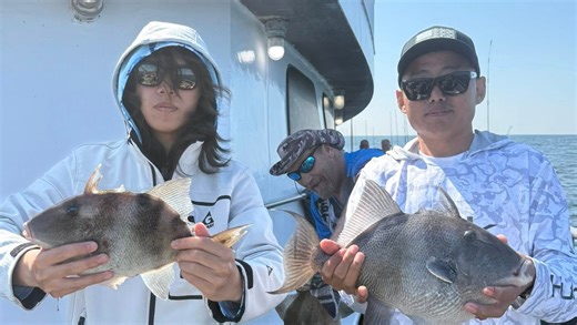 They're in! Fishermen land grunting triggerfish on NJ reefs and rockpiles