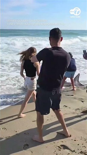 Fisherman catches great white shark on Nantucket Beach