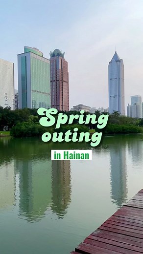 littleturtlelisa on TikTok