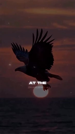 Wallstreet Trapper on Instagram: "There’s A Reason You Pick Great Mentors, And Develop Great Relationships With People who have accomplished way more than you, It’s development, It’s direction, It’s Disruption …….. If you keep Indulging in the same Traps & the same low level chaos, what does it really say about your evolution. Pigeons & Eagles Don’t have the same View, Don’t have the same diet, Don’t have the same Air! Eagles Don’t Need A Crowd! Big Homie Trap:::: GODS PLAN ALL 2026"