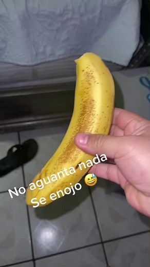 Videos de Ely-Gonzalez (@elybegonzalez) con “sonido original - Ely-Gonzalez”