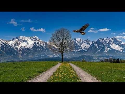 Drive into the real Switzerland that tourists don't see 🇨🇭 | Scenic Rural Route
