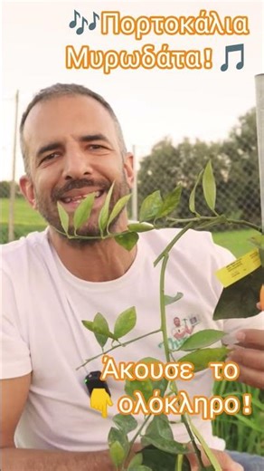 🎙️Πορτοκαλιές Φυτεύω έξω στον Κήπο..🎶