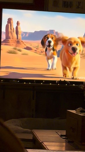 #siestatv #youtube | Jennifer Smith Berry