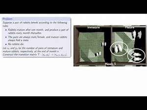 Solution: Fibonacci's Rabbits