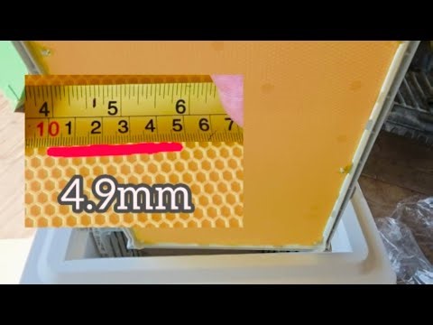 Unboxing my New Primal Bee Hives