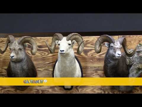 Penticton expo highlights pairing hunting with conservation