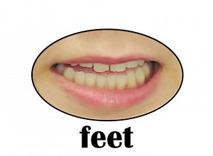 feet