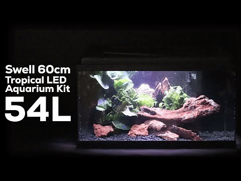 EASY Fish Tank Set-Up: Swell 60cm Tropical LED Aquarium Kit 54L - Beginners Guide
