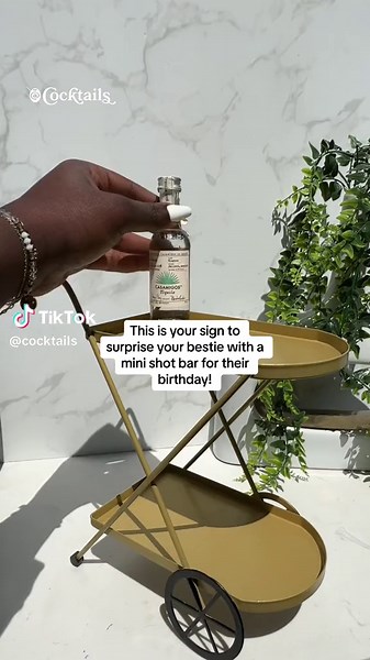 Small in size but big in style✨Serving up big vibes with this mini bar cart‼️🤩 Tag the friend who needs this as a birthday gift below👀👇 #cocktails #shots #shotoclock #birthdaygifts #mini #barcart #bar #minibar #tagafriend #vodka #tequila #rum