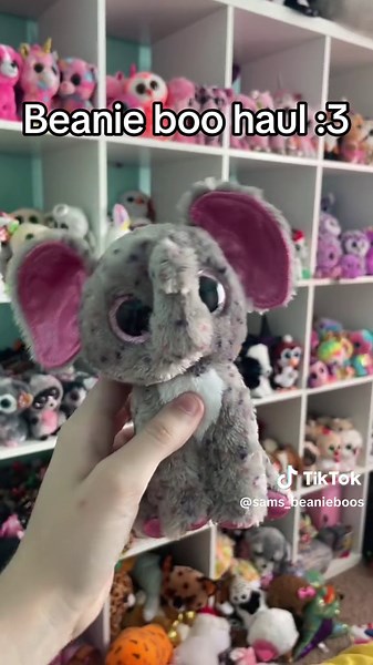 :3 #beanieboo #bootok #collector #beanieboos #collection #beanieboocollector #brassarmadillo #thrift #antique