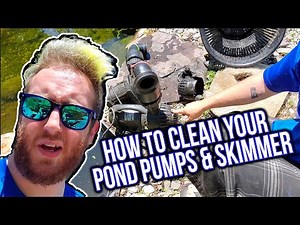 How to Clean A Pond Pump and Skimmer - Pond Tips and Advice