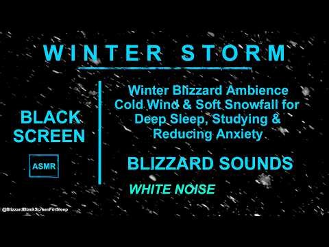 Winter Blizzard Ambience ❄️ Cold Wind & Soft Snowfall for Deep Sleep, Studying & Reducing Anxiety