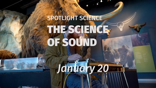 Explore the science behind sound at our next Spotlight Science on...