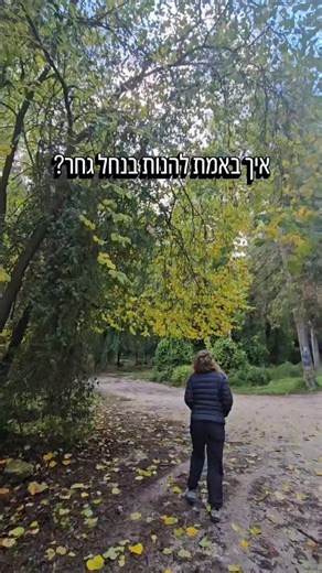 נחל גחר, באמת אחד היפים אבל בואו אליו בימים האלה של אחרי סערה. בימים היפים ממש של שמש כזו וחמימות יש פקקים ועומס נוראי במקום🥴 אני בדכ חונה בחניון המרכזי (חניון נחל גחר בוויז) וממנו עולה במעלה הנחל ולוקח ימינה בהזדמנות ראשונה. ומשם? פריסטייל... נותן לרגליים לקחת אותי. פעם אחת אני ליד השדות הירוקים ופעם אחרת בתוך סינגל צר ביער מוקף ברקפות. ככל שתתרחקו יותר מהנחל ככה תהיו לבד והנופים יהיו רק שלכם🤩 ⬅️אם אתם רוצים פירוט מדוייק איך ללכת, באתר שלי יש פוסט על מסלול מעגלי של 3 קמ... חפשו אותו או שתכתבו