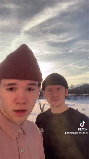 Marcus and Martinus Childhood to Enemies to Lovers Stories