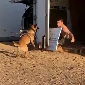 🥺 think this could be the most crazy dog trainer I’ve ever seen 😯😯😯😯 ⚠️ warning whatever you do don’t try this at home 🥺 | DoberNut
