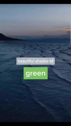 Explore Beautiful Shades of Green Colors