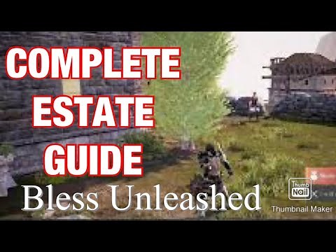 Complete Estate Guide in Bless Unleashed