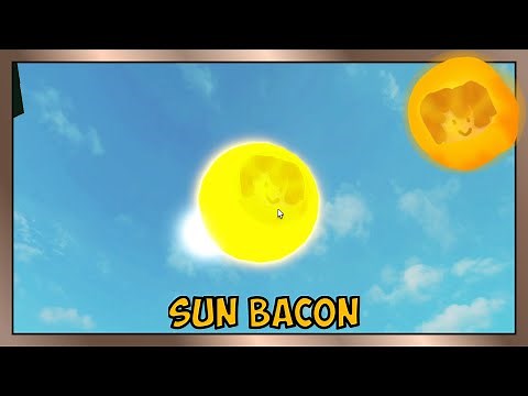 How to get SUN BACON in Find the Bacons