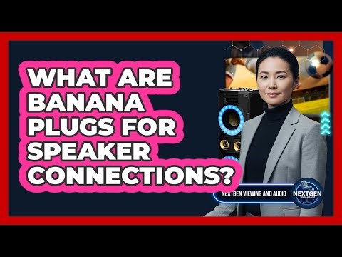 What Are Banana Plugs For Speaker Connections?