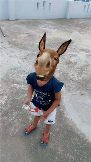 Funny donkey face 🤪🤪 #funny #viral #funnyvideos #comedy