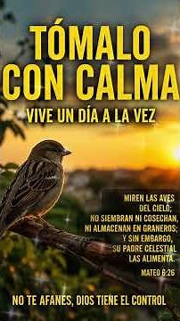 Tómalo con calma | Jesús habló del afán 🕊️