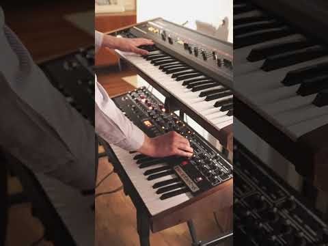 Sequential Prophet-6 & Roland Juno-6