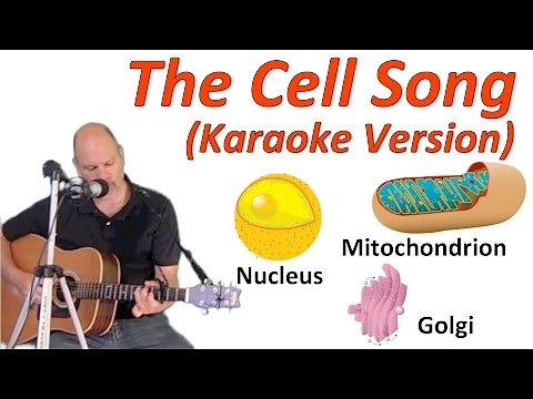 Cell Song, Karaoke Version