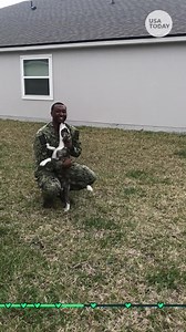 535K views | Leaping, barking, and peeing dogs welcome their service members home.  | Courier-Post | Facebook