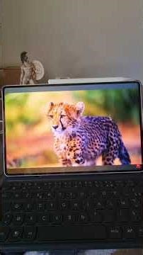 La meilleure tablette haut de gamme en 2026 Honor Magic Pad 4