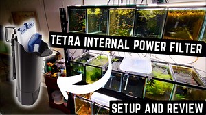 Watch The Tetra Internal Power Filter ﹙Setup and Review﹚ on Amazon Live