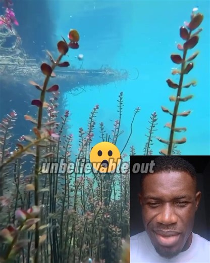 Capture under water using non water resistant phone😲 | Peculiar Nation