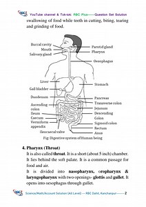 Human Alimentary Canal: Class 12 Biology Anatomy